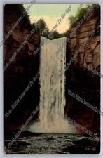 Antique Postcard Taughannock