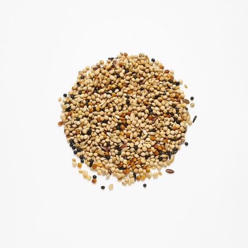 Foreign finch mix - foreign, 5kg