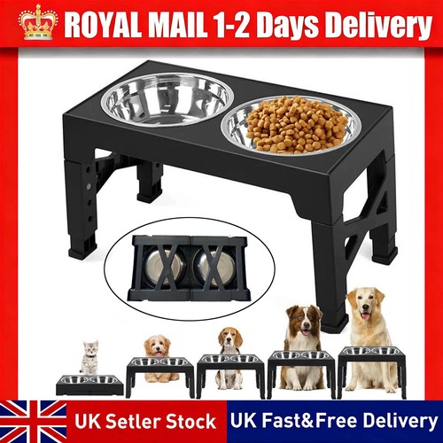 Large dog food feeding - food,