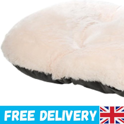 Nordic oval cushion for - nordic,