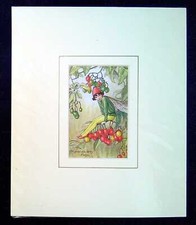 Barker, Cicely Mary MOUNTED