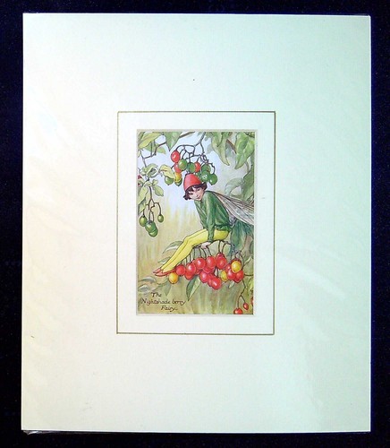 Barker cicely mary mounted - barker,,