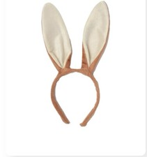 Bunny Rabbit Ears Aliceband