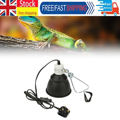 Reptile vivarium ceramic - reptile,