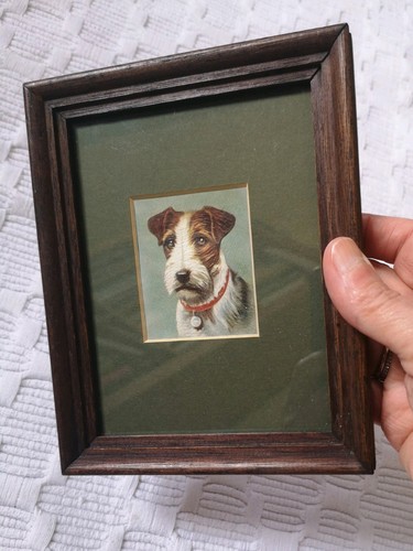 Antique 1930s framed dog - 1930s,