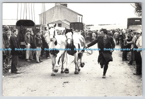 L359155 appleby fair the - l359155,