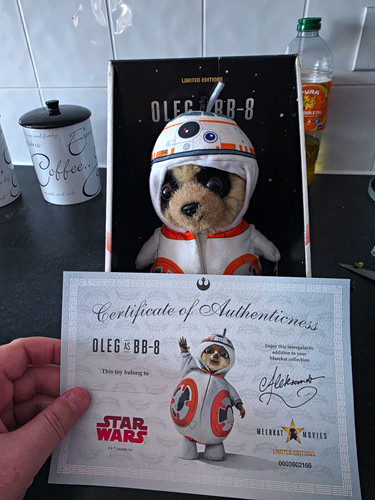 Meerkat movies star - star, wars