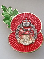 Royal Hampshire Regiment 🌺 Flower Of Remembrance 3D ( RHR-P16 )