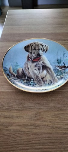 Lovely franklin mint eye - franklin,