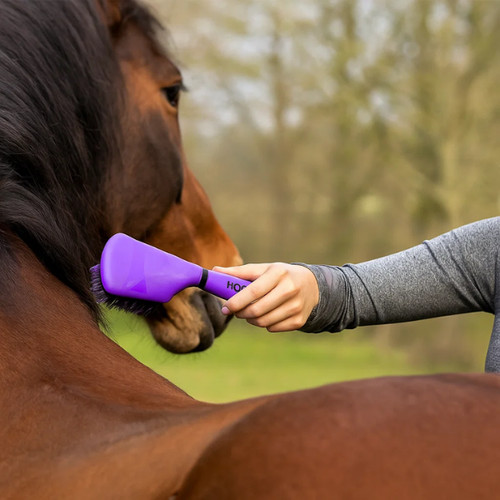 Horse grooming brush pets - horse,