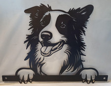 Peeking Border COLLIE Dog