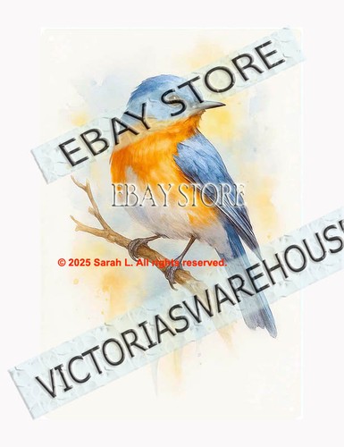 Bluebird tin sign - sign, watercolor