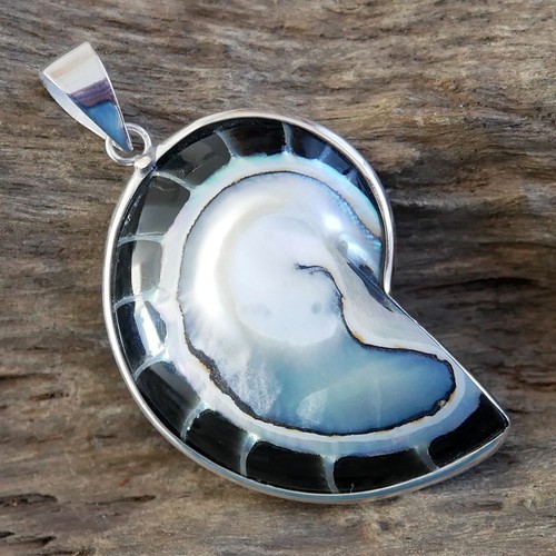 Medium size black nautilus - black,