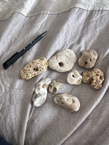 Hag stones - stones, x8