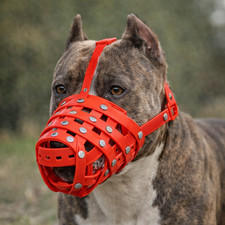 Pitbull Dog Muzzle Basket Anti