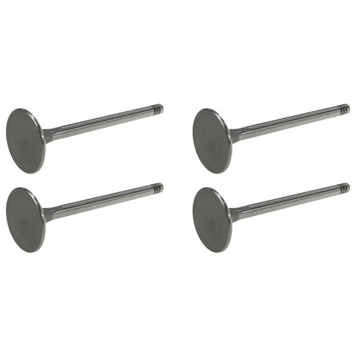 Inlet valve for - x,