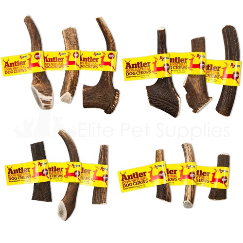 Antos deer antler dog - dog, chew