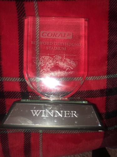 Greyhound winners glass - greyhound, winners,