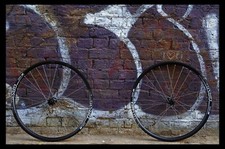 HANDBUILT DT Swiss 350 IS Disc