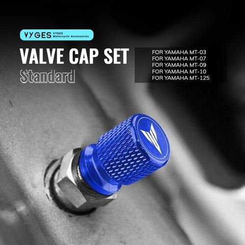 Motorcycle standard valve - motorcycle,