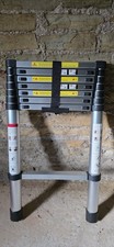 Telescopic Ladder