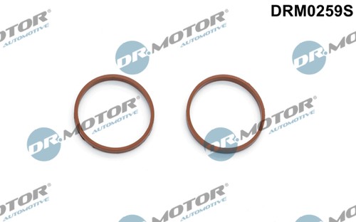 Gasket set intake - set,,