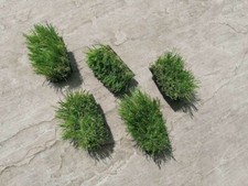 5 Fake grass micro geocache