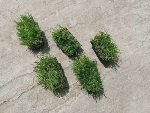 Fake grass micro - 5,