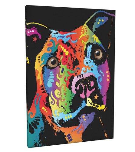 Staffordshire bull terrier - staffordshire, box