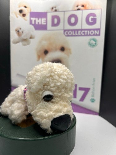 The dog collection bichon - dog, 17