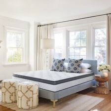 Hybrid Hypoallergenic