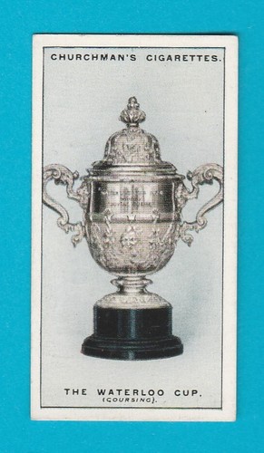 Sporting trophies the - -,