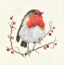 ROBIN Garden Bird - FULL