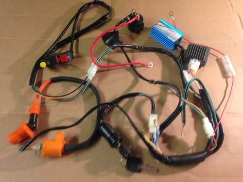 New wiring loom - wiring,