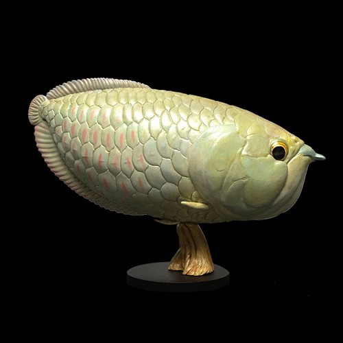 Animal heavenly body silver - animal,