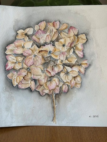 Original botanical watercolor - original,