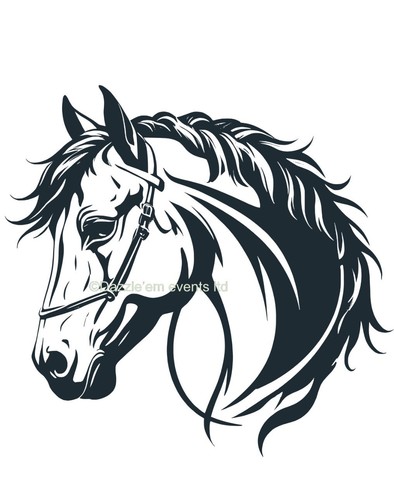 Horse box vinyl sticker - 1,