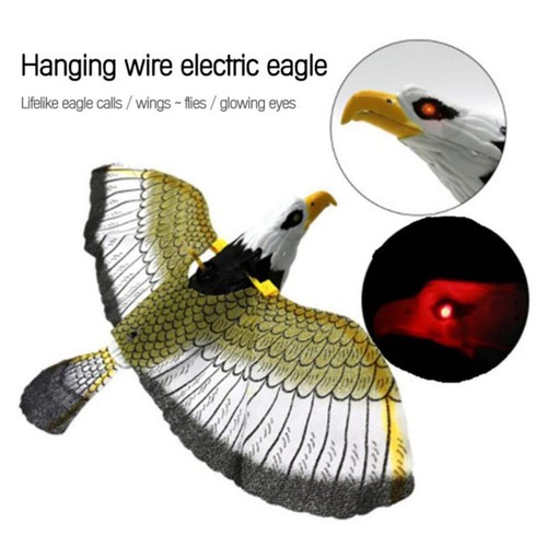 Fake eagle decoy scare - fake,