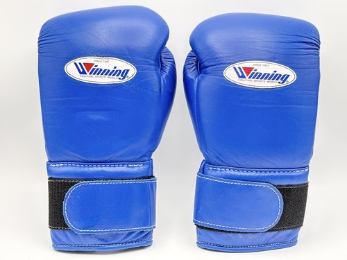 Winning boxing gloves - winning,