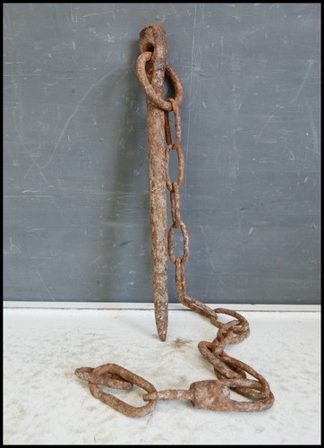 Antique horse animal tether - antique,