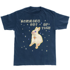 Paramore Rabbit Running Out Of