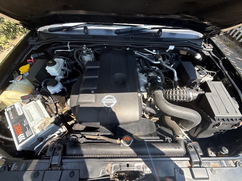 Nissan navara engine diesel - nissan,