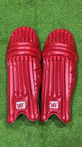 Red coloured cricket - , batting