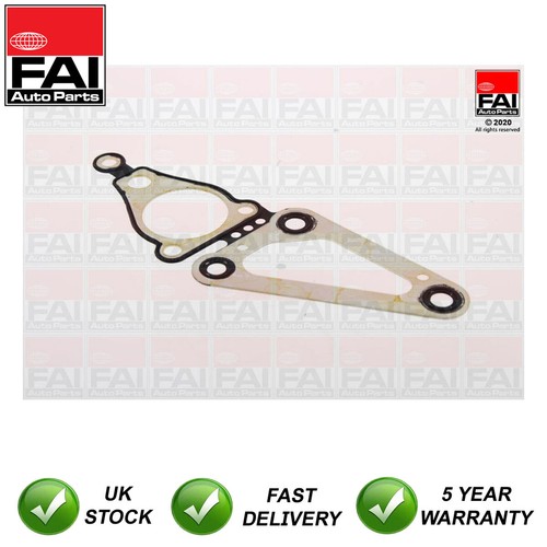 Timing case gasket - timing,