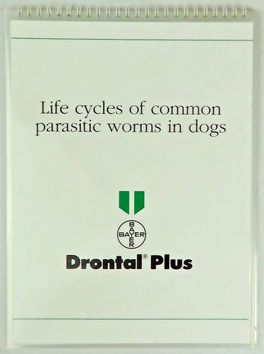 Life cycles common - of,
