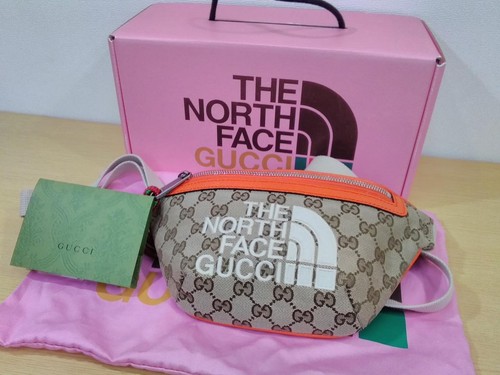 Gucci the north face - the,
