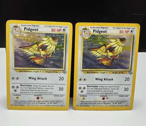 Pidgeot holo rare - 2x,