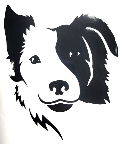 Border collie sheepdog dog - sheepdog,