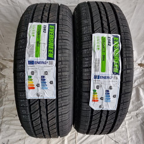215 x2 evergreen 96h - 17,