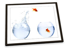 Jumping Goldfish Bowls White